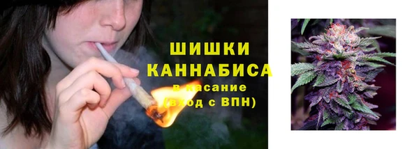 сатива Горняк