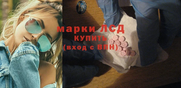 сатива Горняк