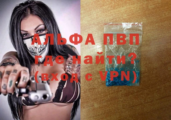 сатива Горняк