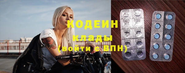 сатива Горняк