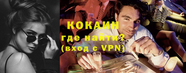 сатива Горняк