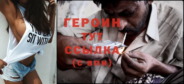 сатива Горняк