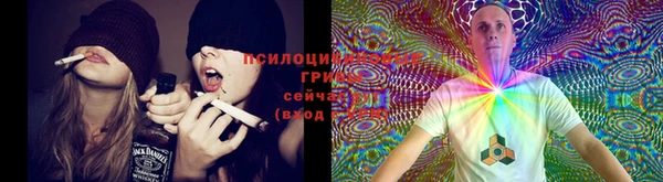 сатива Горняк