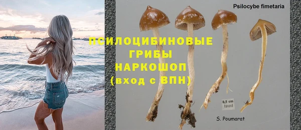 кокс Горнозаводск