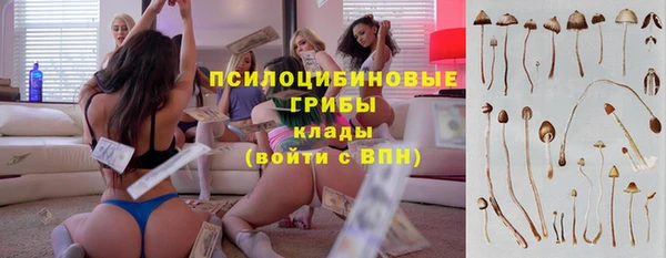сатива Горняк